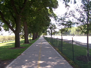 straight and shady section of the Chicago Lakefront Path